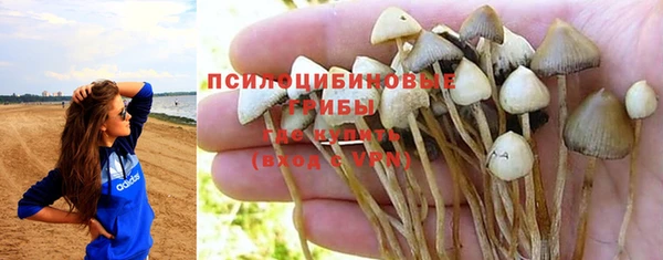 прущий лед Алексин