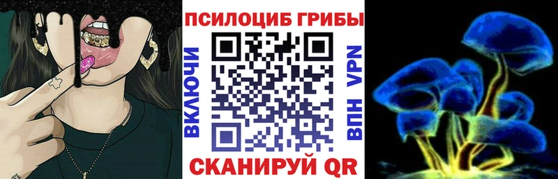Галлюциногенные грибы Cubensis  где купить наркотик  Оса 