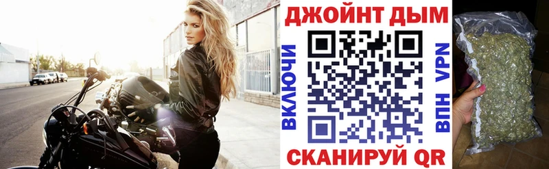 mega tor  Оса  Бошки Шишки планчик 